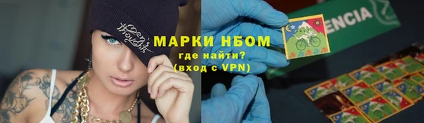 кокс Арсеньев