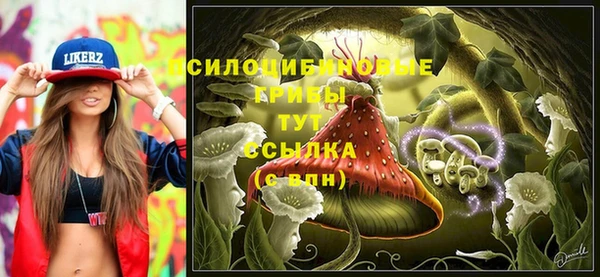 кокс Арсеньев