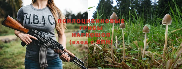 apvp Аркадак